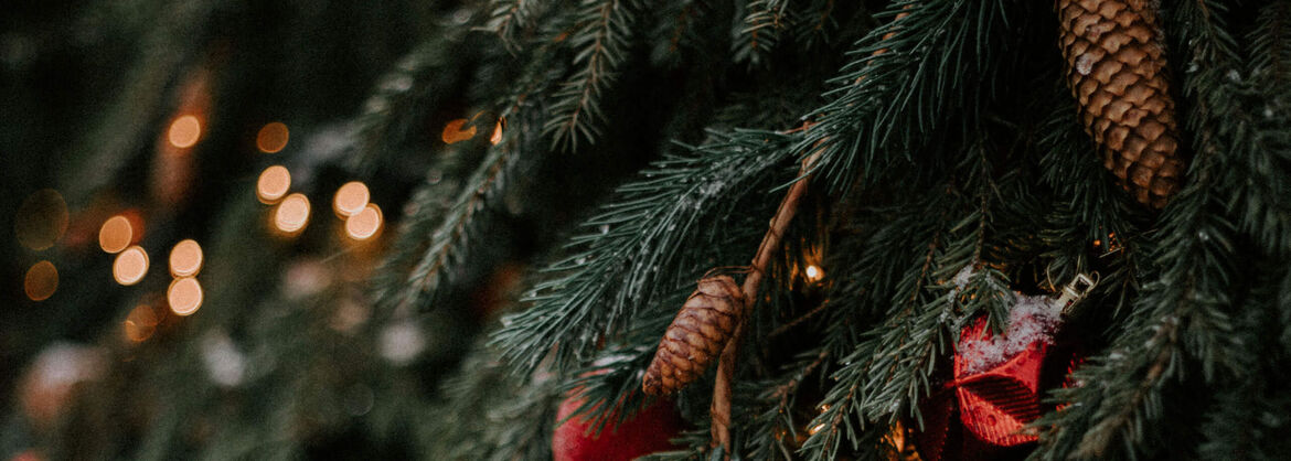 Weihnachten mit Woolworth