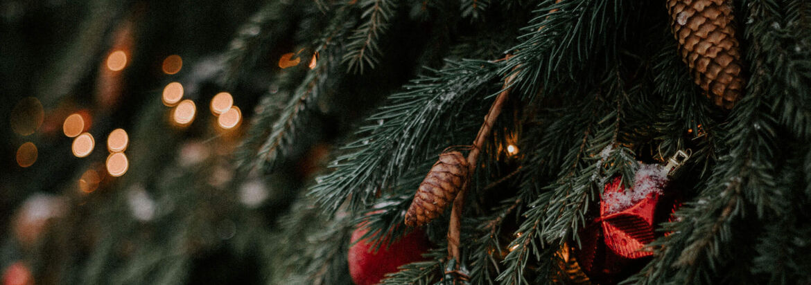 Weihnachten mit Woolworth